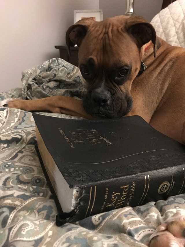 moses