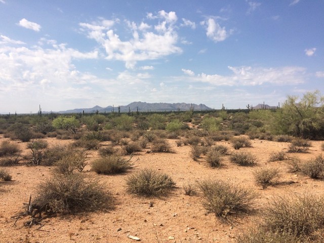 desert-990570_960_720